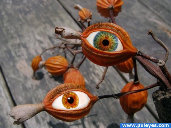 Creation of Eye Pods: Final Result